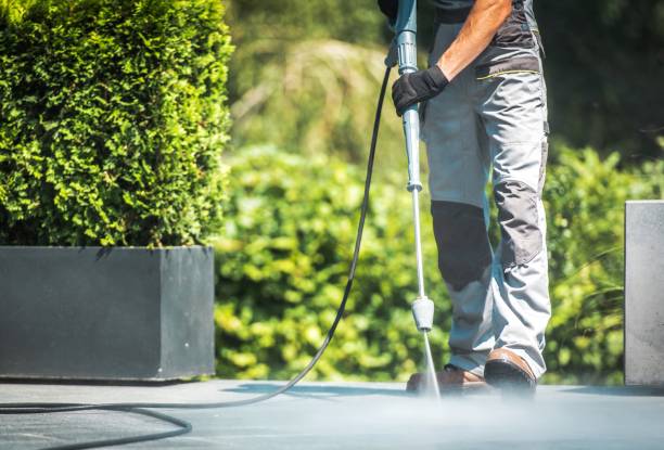 Best Pre-Holiday Cleaning  in Gregory, TX